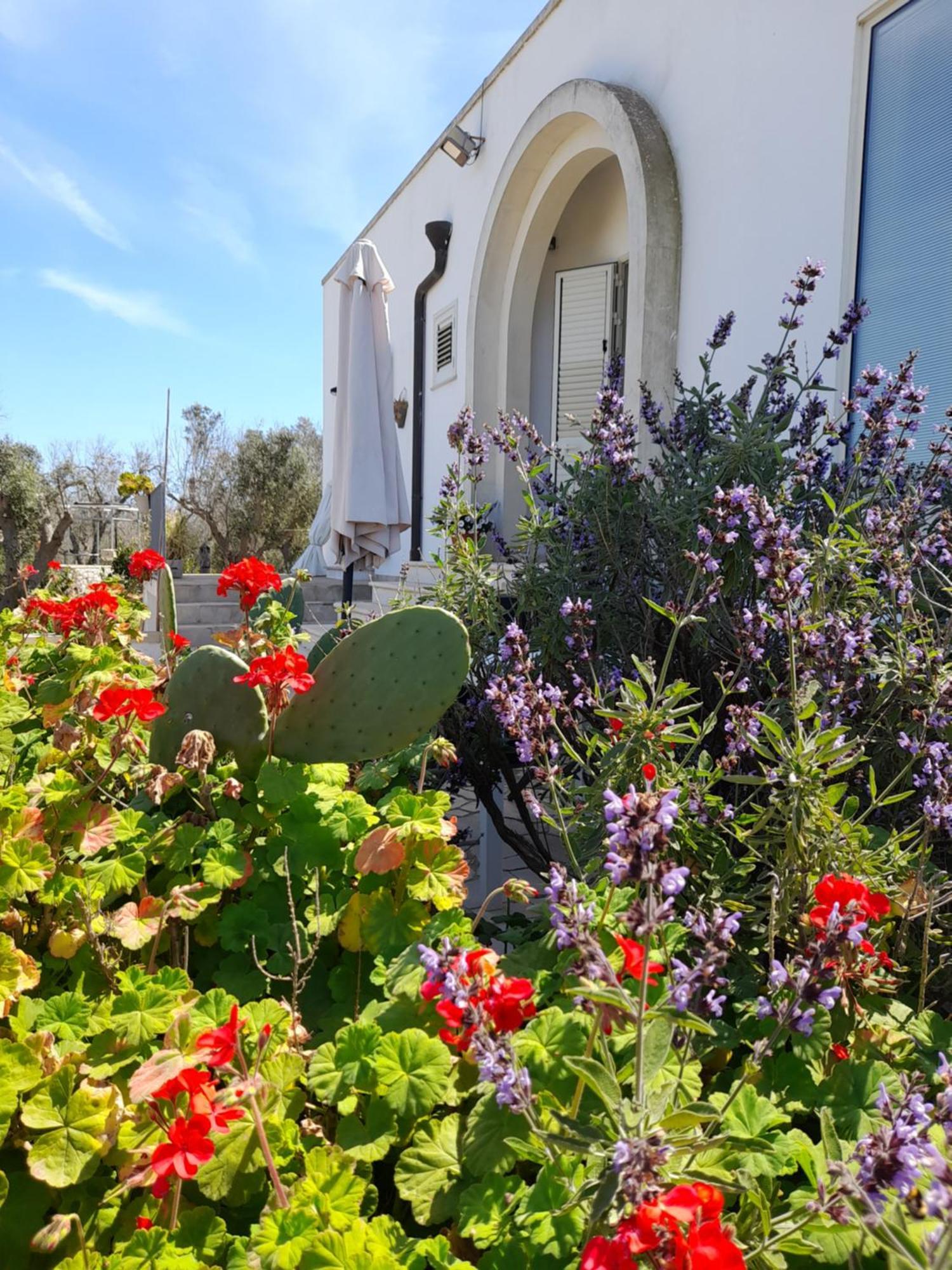 Tenuta Valle Dell Idro Otranto Con Piscina Casamassella Экстерьер фото