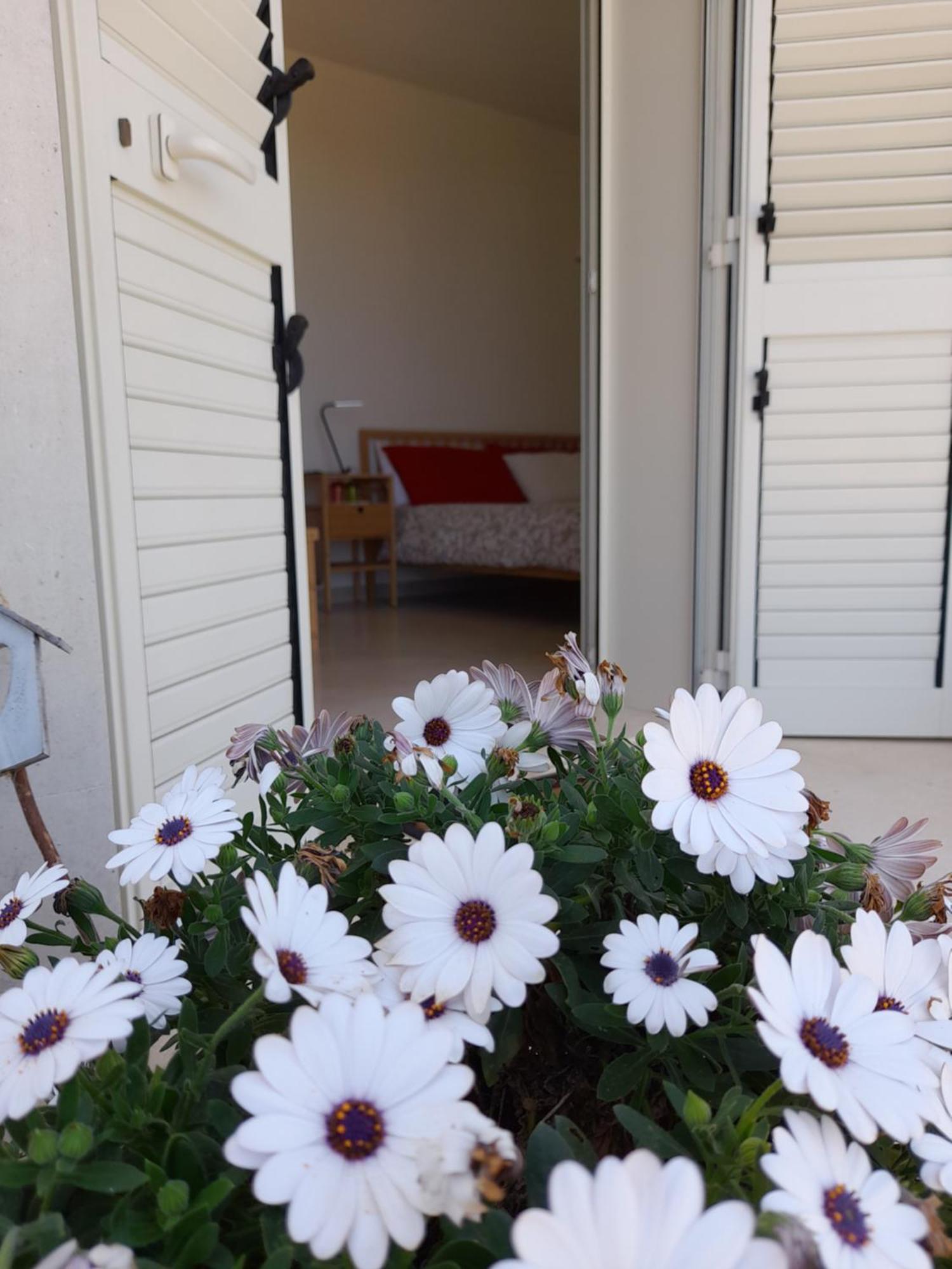 Tenuta Valle Dell Idro Otranto Con Piscina Casamassella Экстерьер фото