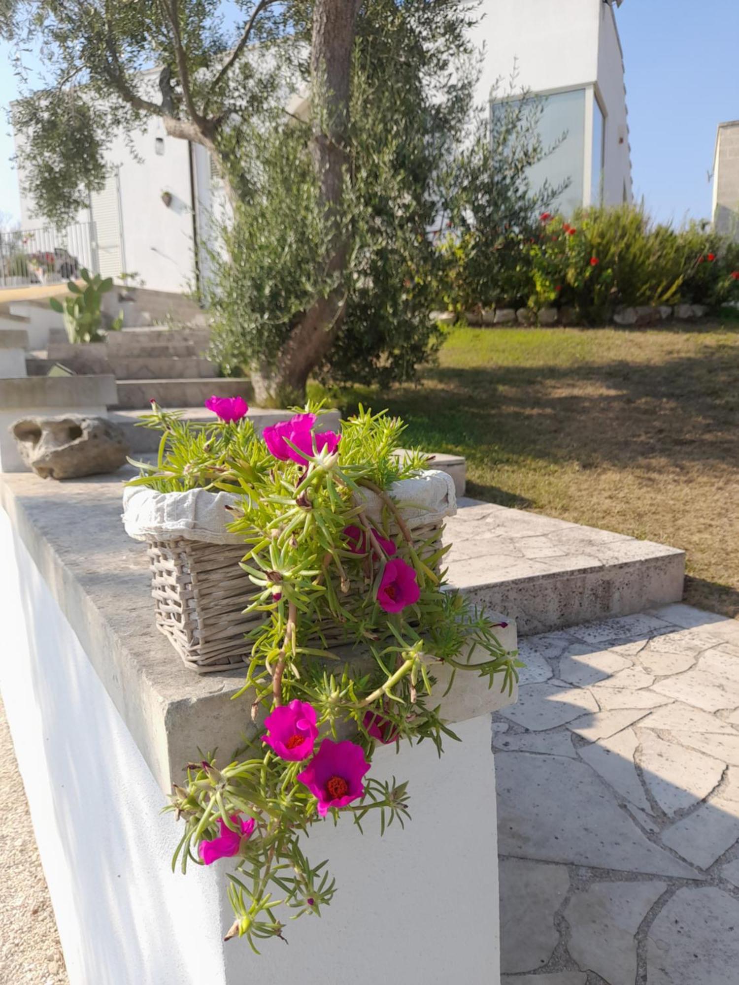 Tenuta Valle Dell Idro Otranto Con Piscina Casamassella Экстерьер фото